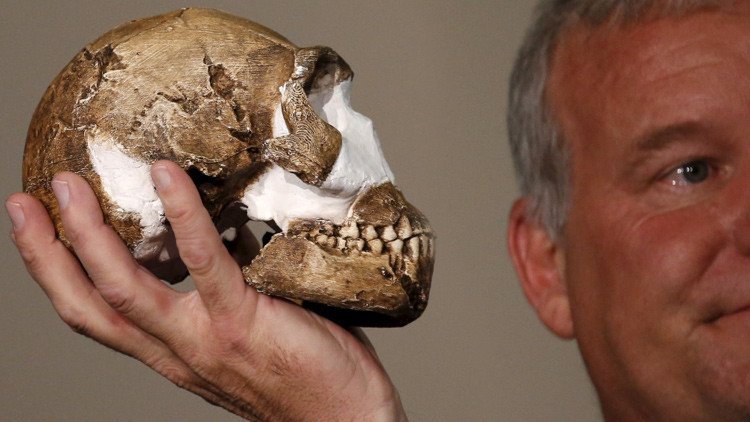 La controversia envuelve al histórico descubrimiento de la nueva especie humana Homo naledi