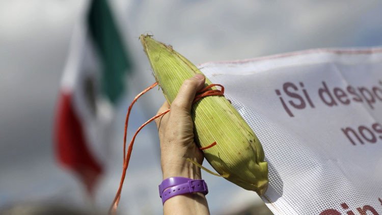 El preocupante plan que tiene Monsanto para México