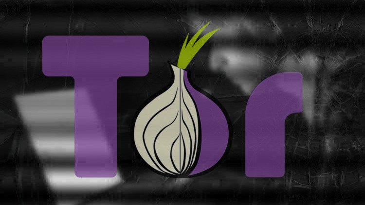 ¿Podrá Tor devolver la privacidad a sus usuarios? Cómo se prepara la red para recuperar al anonimato