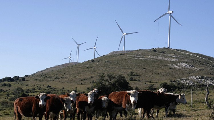 Uruguay, un revolucionario de la energía limpia con el 95% de electricidad renovable