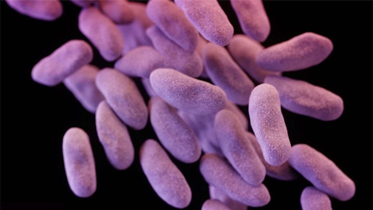 'Amenaza fantasma', la superbacteria altamente mortífera que se extiende por EE.UU.