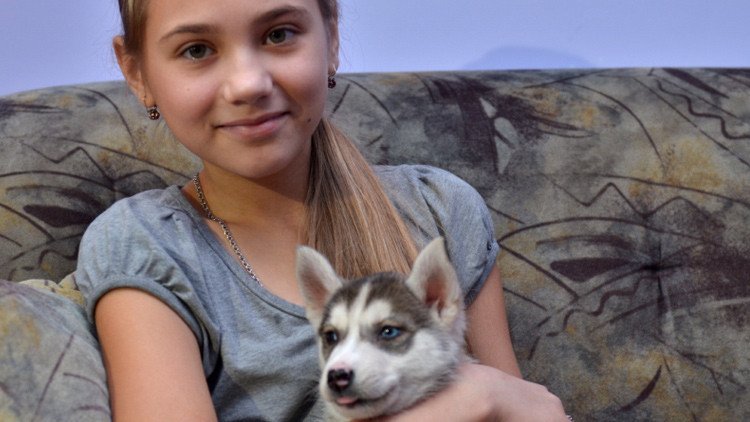 Espíritu festivo: una niña pide a Putin un cachorro para el Año Nuevo y lo recibe