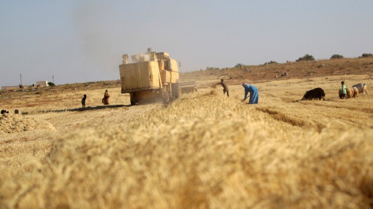 La lucha por el pan, el arma más insospechada de la guerra siria