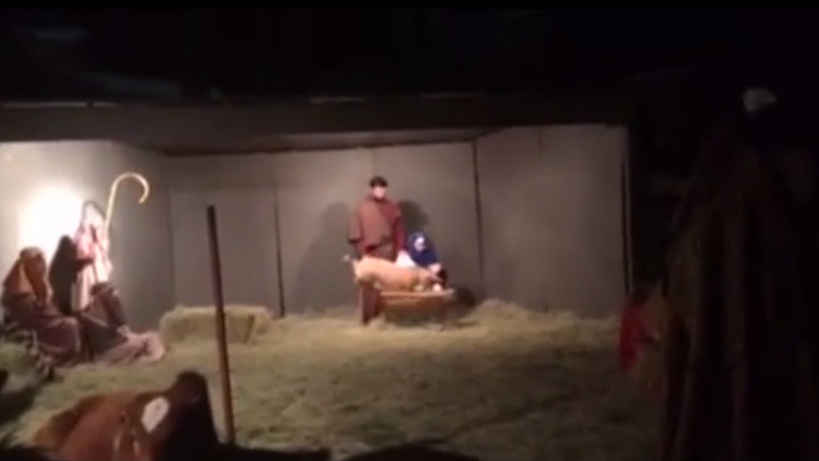 ¿Se robó la Navidad?: esta cabra saltarina casi arruina la fiesta