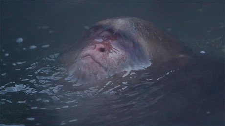 Las fotos más impactantes y curiosas de la semana