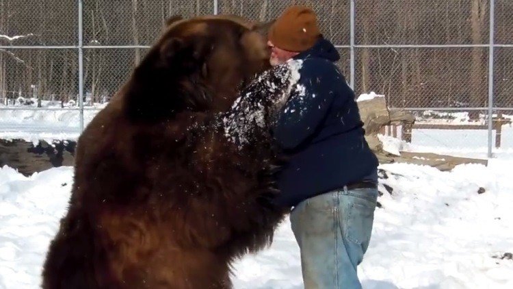 Un "oso amoroso" de verdad: La tierna amistad entre un hombre y un plantígrado
