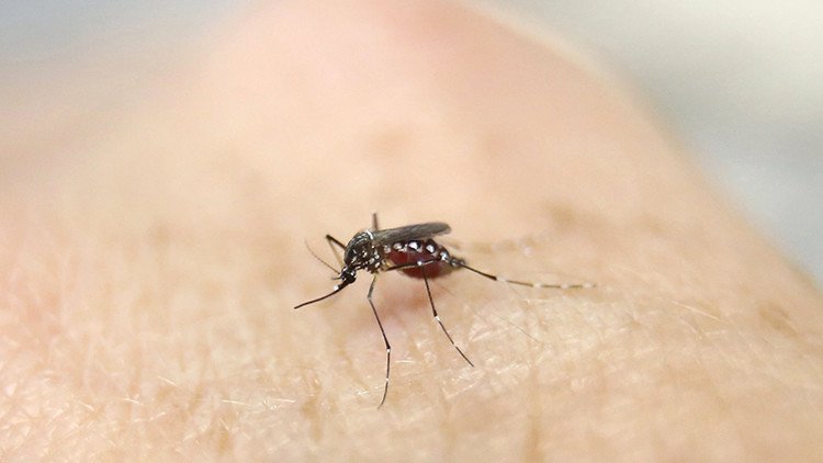 Dos casos apuntan a una posible transmisión sexual del zika