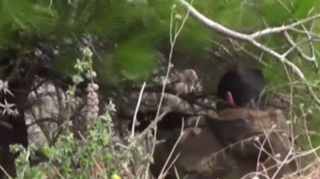Video: El Ejército sirio retoma el control de un pueblo estratégico del norte del país