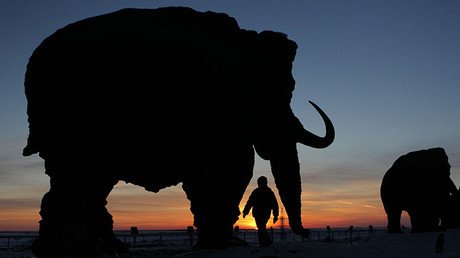 Una marca en los huesos de un mamut confirma que había humanos en el Ártico hace 45.000 años