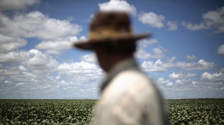 Rusia sustituirá las importaciones de soja de Estados Unidos por las de América Latina