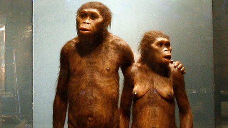 Hallan un cromosoma de hombre moderno en el ADN de un neandertal