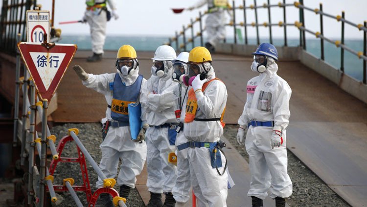 Por los siglos de los siglos: catástrofe de Fukushima provoca innumerables mutaciones genéticas