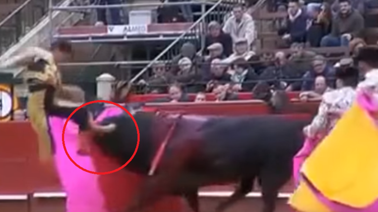 Dramático momento: toro cornea, pisotea y levanta por los aires a matador mexicano