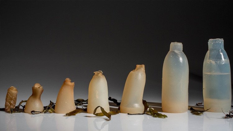 A mordiscos contra el plástico: Crean botellas biodegradables de gelatina que se comen