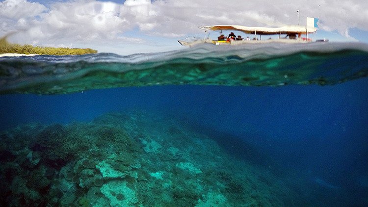 La Gran Barrera de Coral se muere en silencio (video)