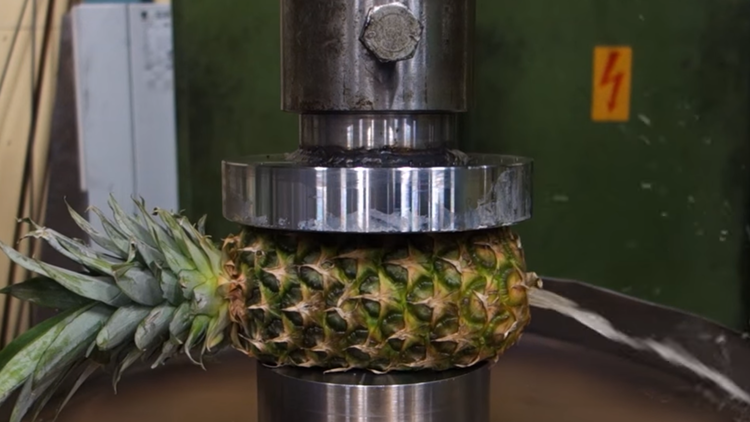 ¿Delicioso?: Así se prepara una ensalada de frutas con una prensa hidráulica