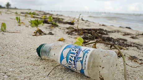 ¿Hay una solución a la contaminación? Encuentran un bacteria que devora plástico