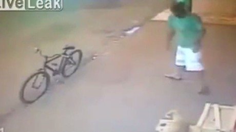 El perro menos guardián: se deja robar sin pegar un ladrido