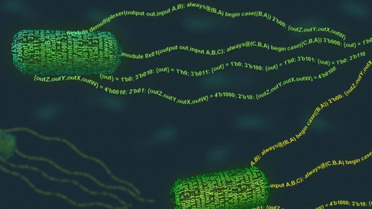 Ya no es ciencia ficción: científicos han creado un "lenguaje de programación" para células vivas