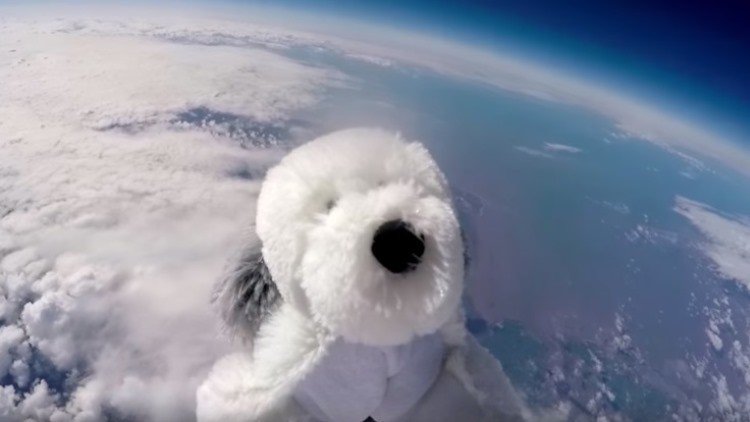 Se busca a Sam, el perro de peluche 'cosmonauta' que alcanzó la estratosfera