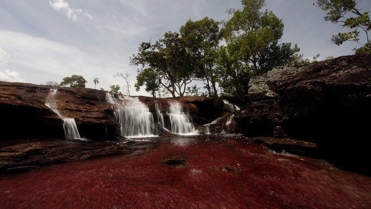 ¿Colombia ante un desastre ambiental? Caño Cristales, en riesgo por exploración petrolera