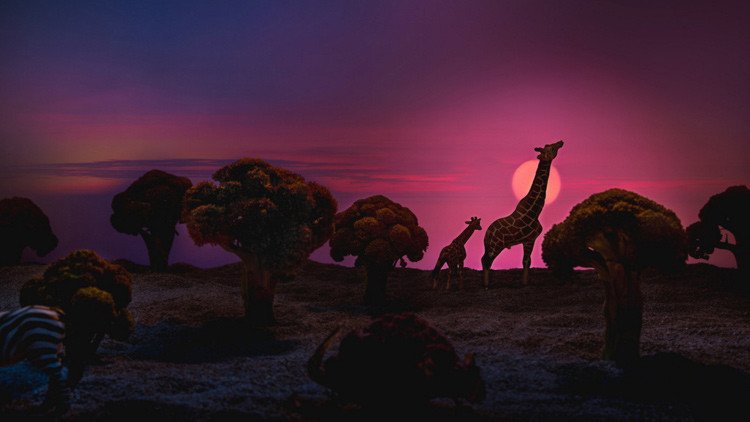 ¿Es África o solo una 'ilusión'? Descúbralo a través de estas increíbles fotografías
