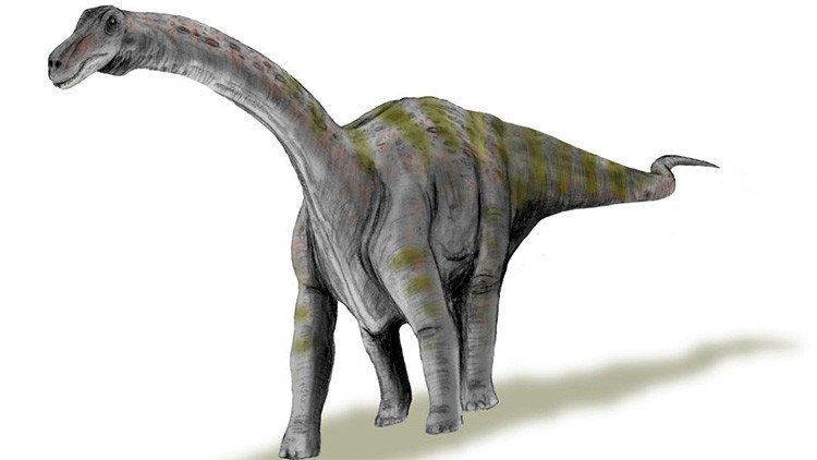 Así eran las crías del dinosaurio más grande del mundo al nacer - RT