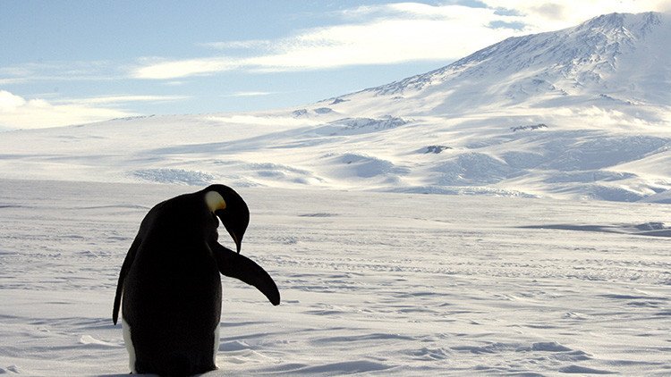 Descubren un gigantesco lago subterráneo en la Antártida que podría albergar vida ancestral