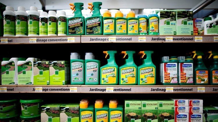 Monsanto contrataca: una nueva tecnología hará que los cultivos sean más resistentes a las plagas