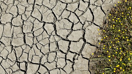 ¿Cuánto falta para el inevitable colapso de la civilización?