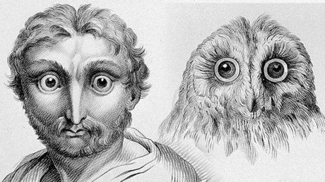 ¿Qué aspecto tendríamos los humanos si descendiéramos de estos animales?