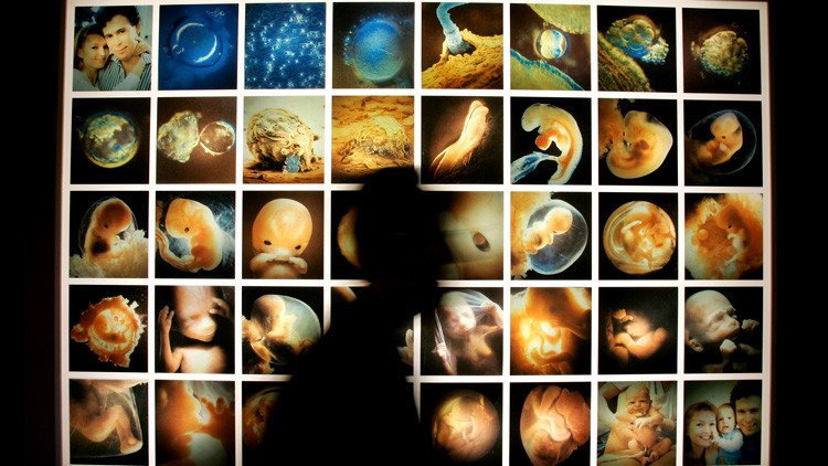 Científicos logran mantener embriones humanos 'in vitro' durante un período récord