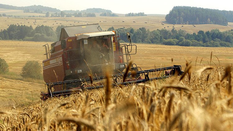 Rusia empezará a suministrar trigo a China
