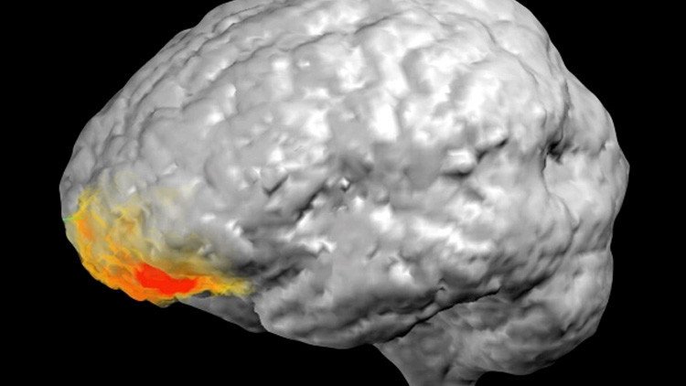 Médicos descubren cómo funciona el cerebro durante una 'revelación divina'