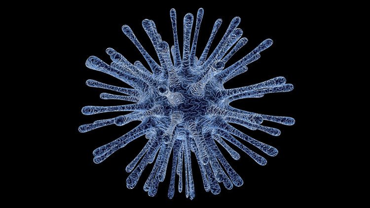 Descubren unos virus gigantes con doble blindaje