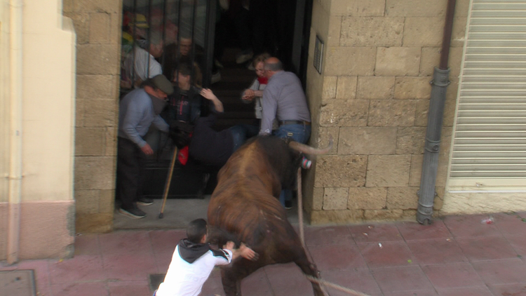 España: Hospitalizan a 4 personas que corrían delante de un toro (fuerte video)