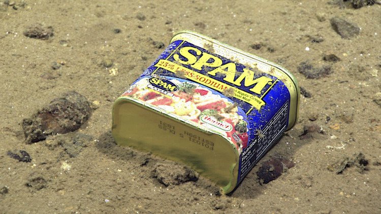 Encuentran latas de conserva en el fondo de la fosa de las Marianas (FOTOS)