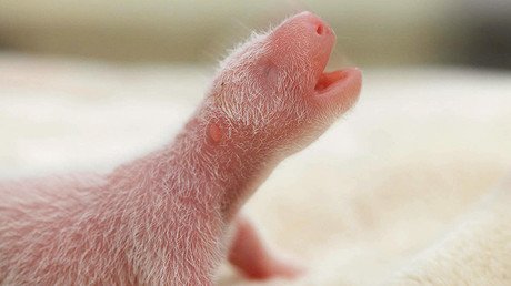 Las imágenes más curiosas que resumen los últimos siete días