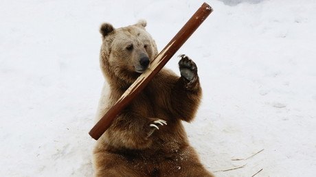 Test: ¿Es Rusia u otro país?