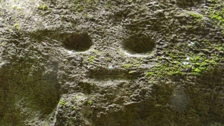 Fotos: Excursionistas hallan petroglifos de más de 1.000 años en una isla del Caribe