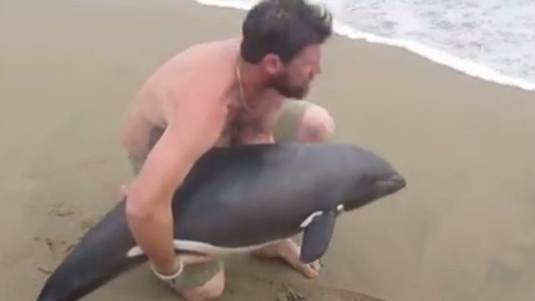 El salvador de un delfín se convierte en estrella de Internet