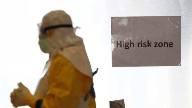 Los científicos sugieren que es posible predecir virus como el ébola y el zika