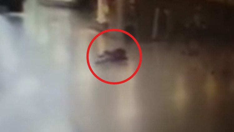 Video: Así abatieron a un atacante del aeropuerto de Estambul antes de que active un explosivo (18+)