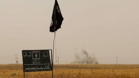 La lucha contra el EI: Los últimos bastiones tambalean