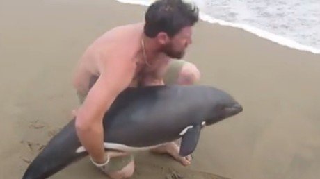 El salvador de un delfín se convierte en estrella de Internet