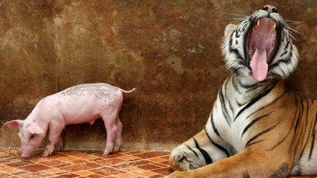 Las fotos de la semana que le hipnotizarán