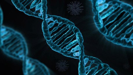 Las bacterias se convierten en una memoria portátil