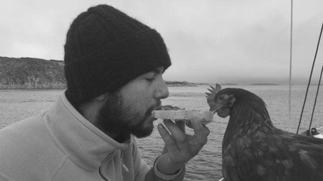 Una compañía inusual: el viajero que recorre el mundo junto a una gallina