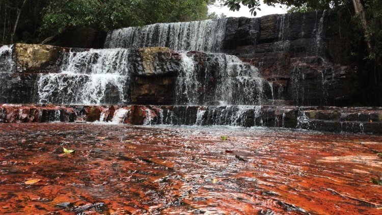 El spa natural más lujoso queda en la selva venezolana