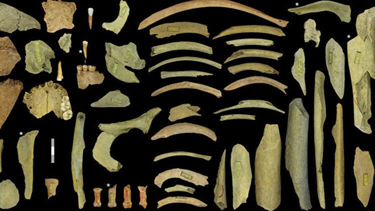 Descubren primera evidencia de que los neandertales europeos eran caníbales